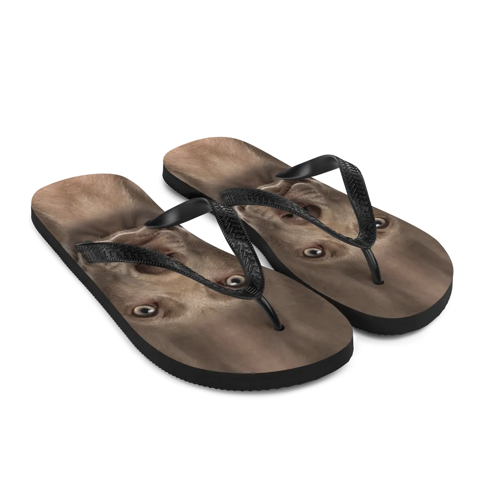 Weimaraner Dog Flip-Flops