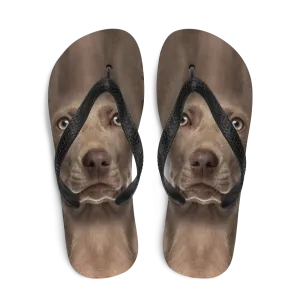 Weimaraner Dog Flip-Flops