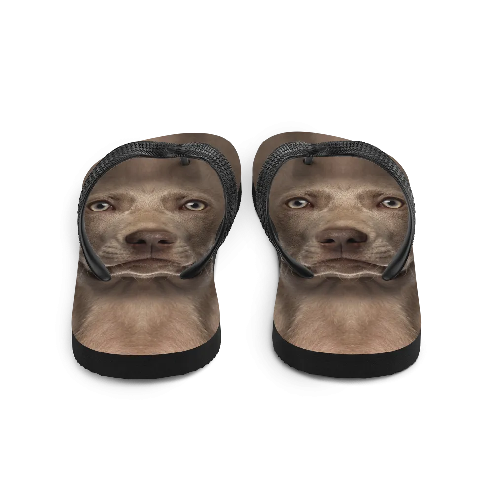 Weimaraner Dog Flip-Flops