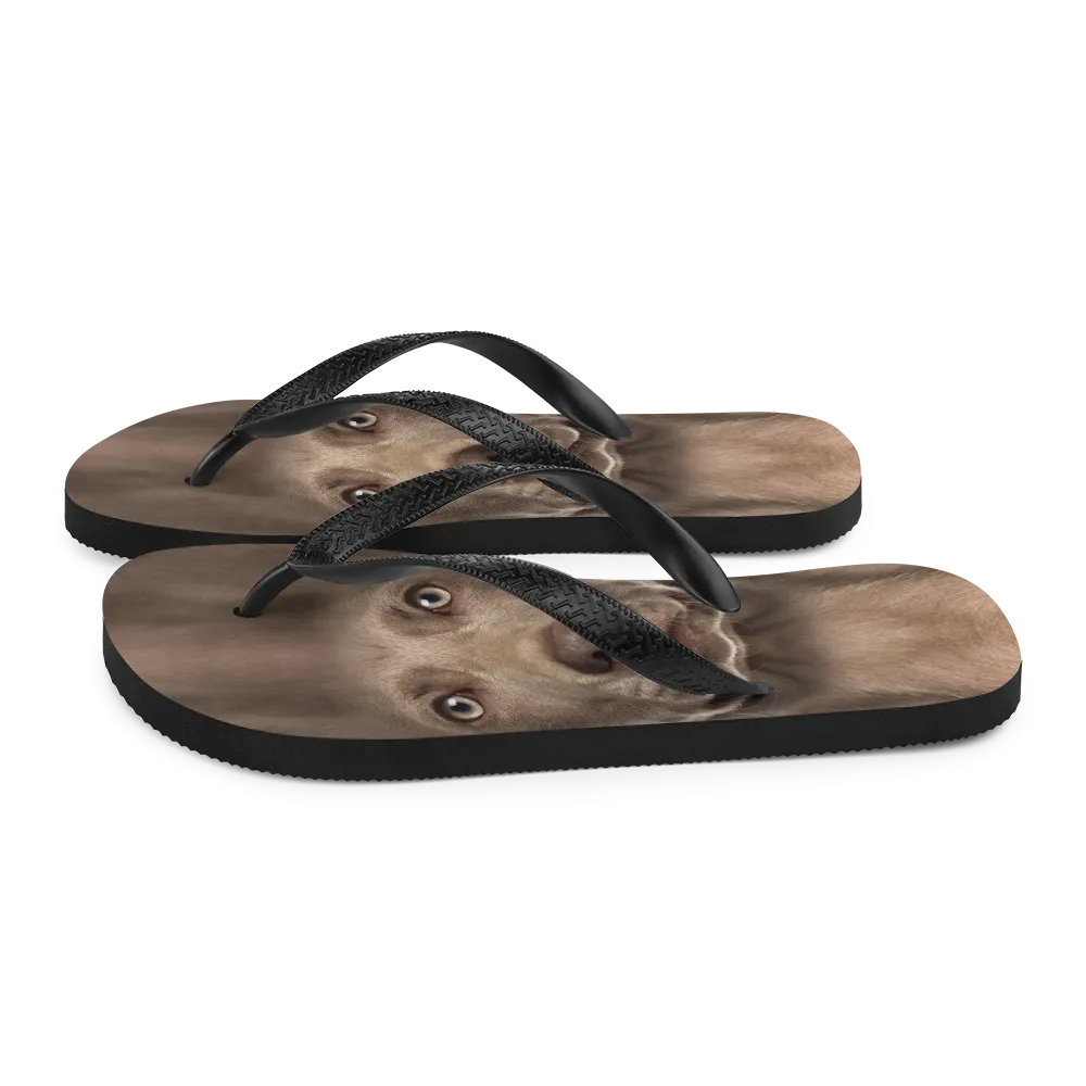 Weimaraner Dog Flip-Flops