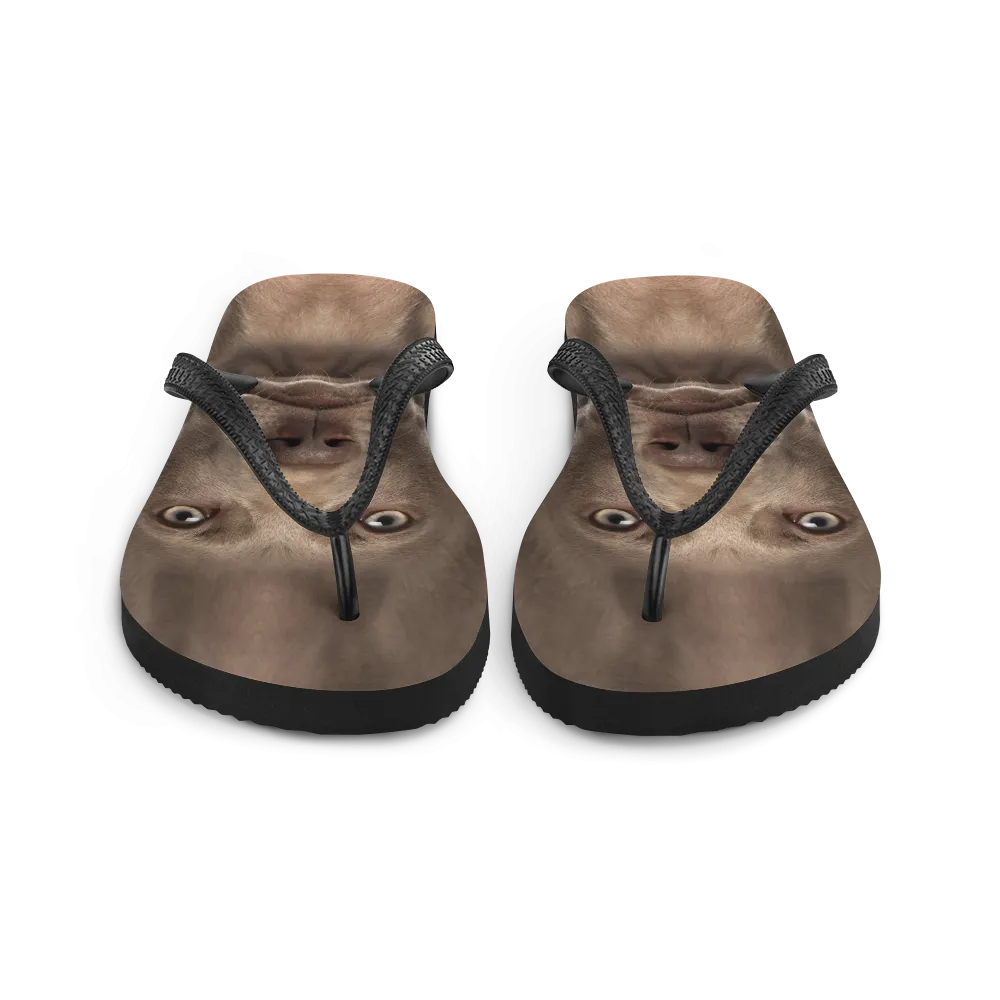 Weimaraner Dog Flip-Flops
