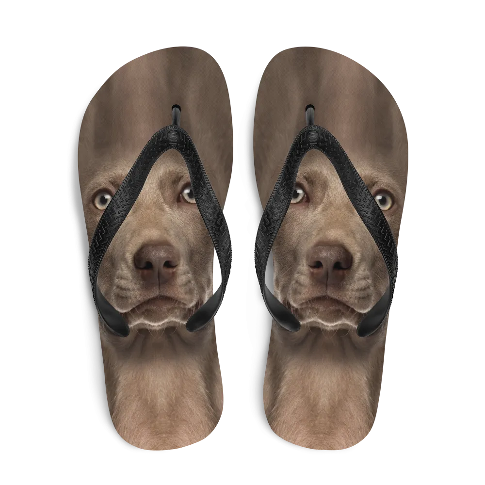 Weimaraner Dog Flip-Flops