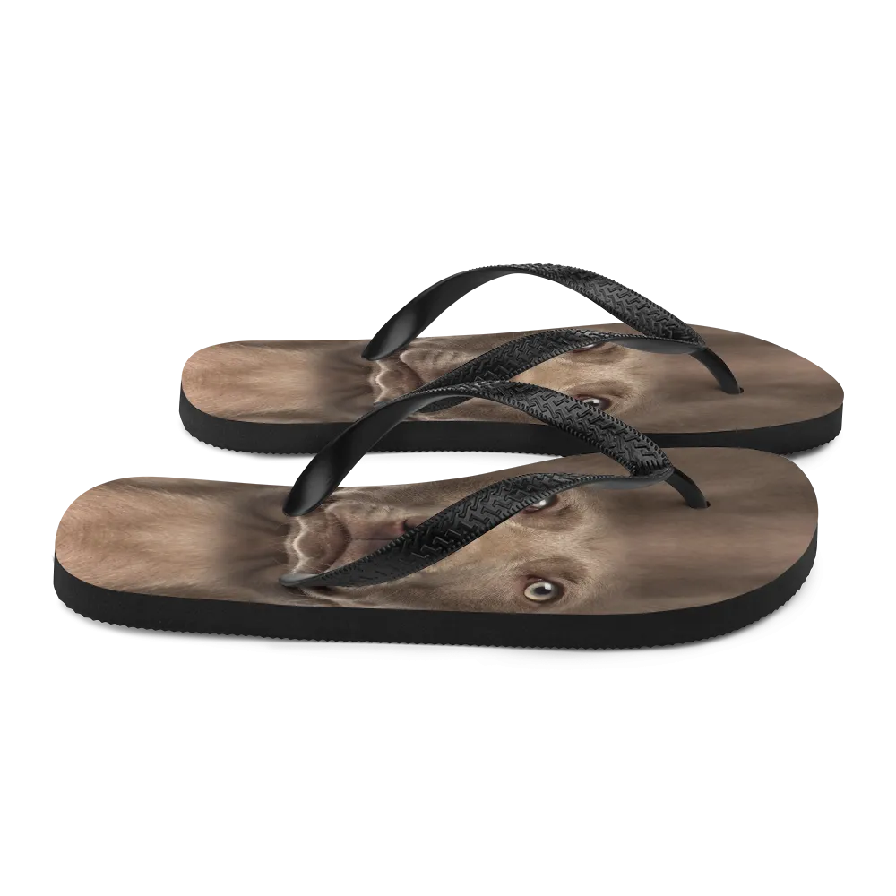 Weimaraner Dog Flip-Flops